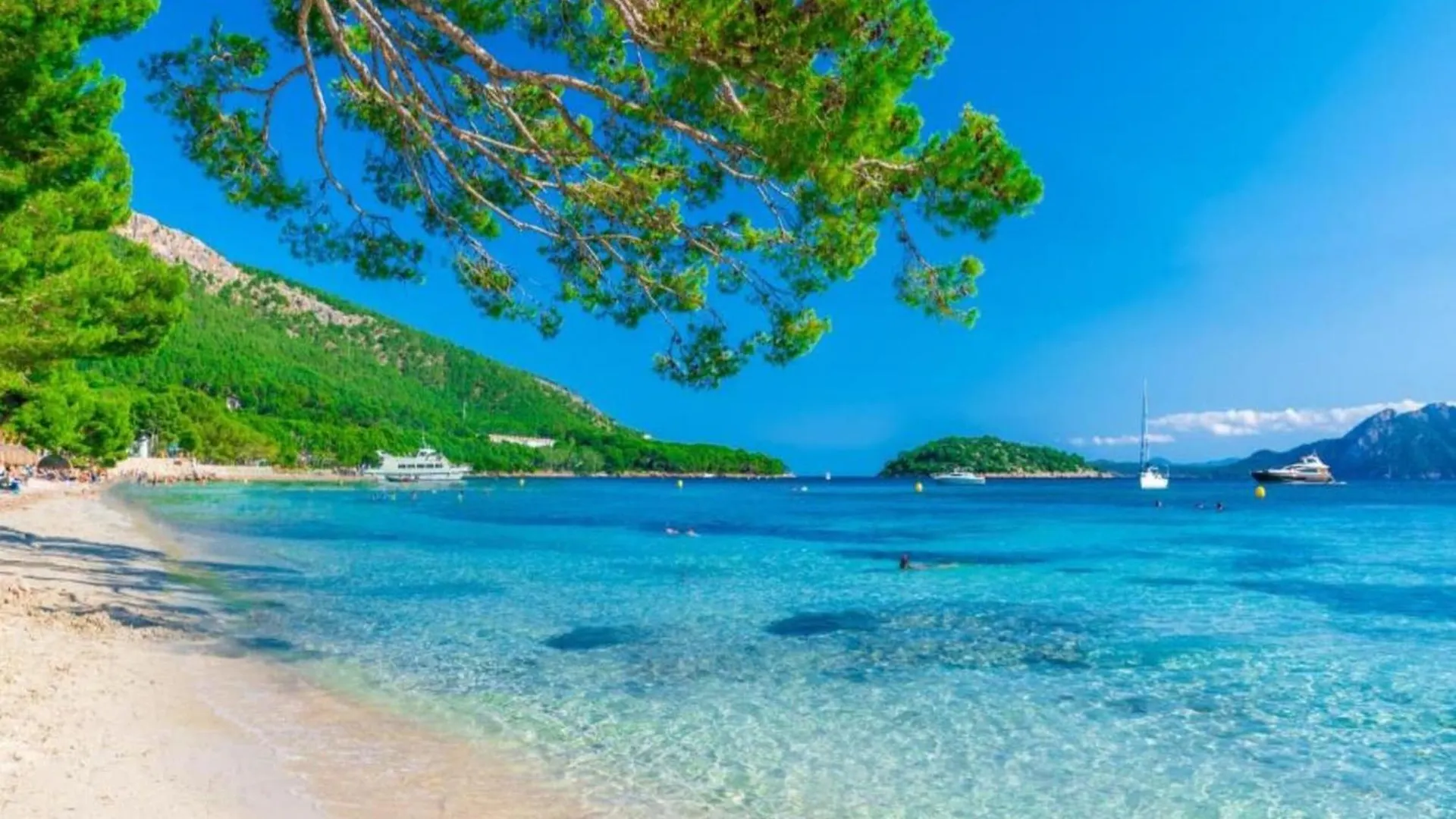 Charming Apartment Near Alcudia Beach  Alcudia (Mallorca)