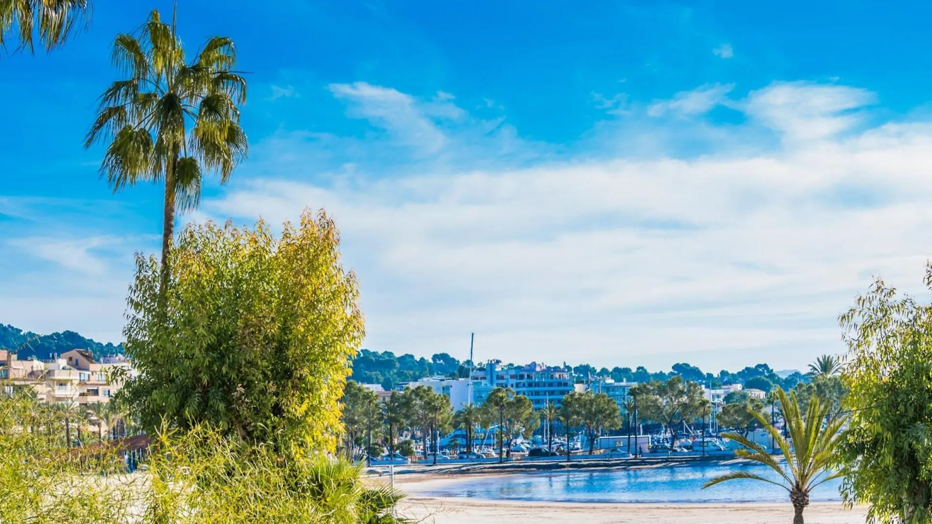 Charming Apartment Near Alcudia Beach Spain